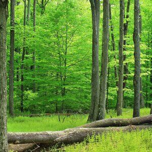 Meet your Posher, Myriam